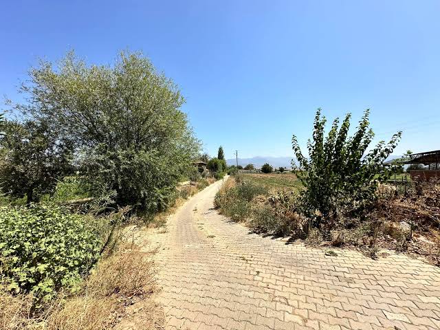 Yeniköy 
