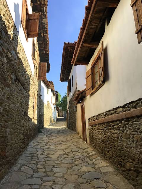 Birgi 