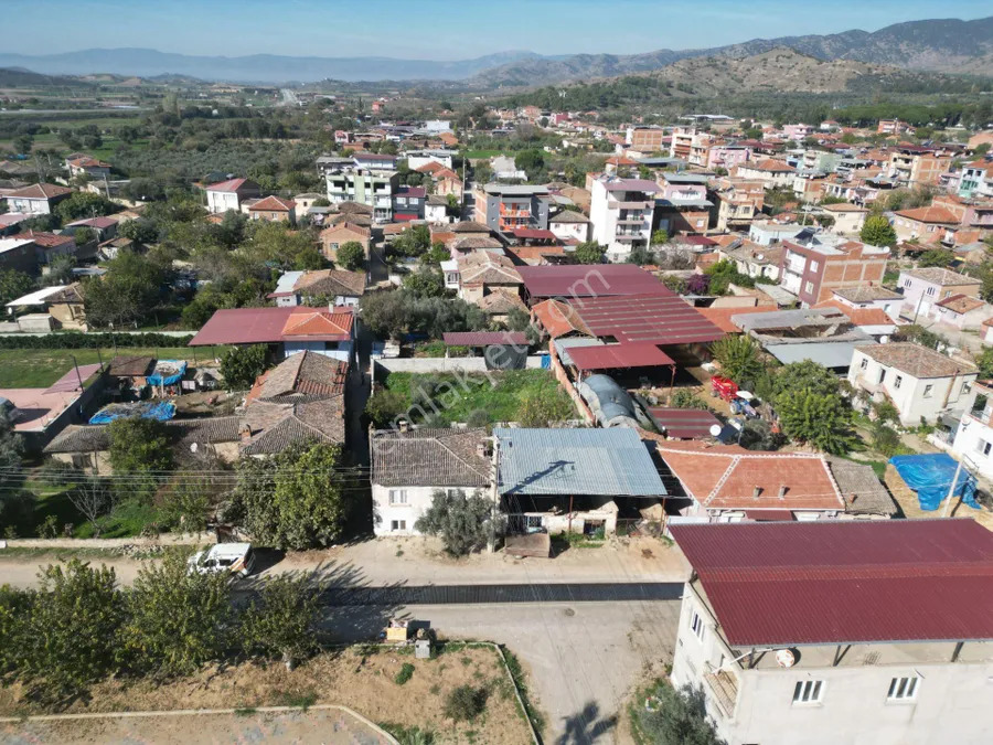 Mescitli 